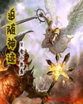 追随神迹组合神器