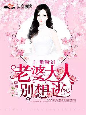 一胎两宝老婆大人别想逃1460