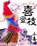 喜登枝门厂址在哪里