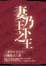 妻乃王下之王剧透