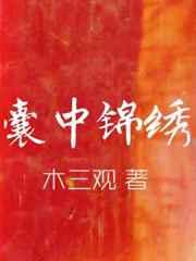 囊中锦绣by木三观简介