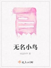 无名鸟未删