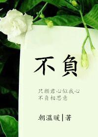 不负卿是什么意思