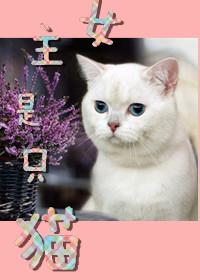 女主是只猫的动漫名字