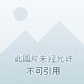 悍妃来袭王爷千千岁