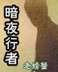 暗夜行者电视剧在线观看完整版免费