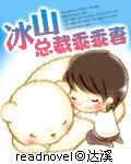 冰山总裁乖乖妻全文阅读