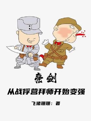从亮剑开始战争