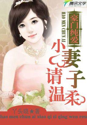 豪门小老婆阅读