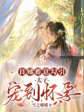 太子的良娣是什么意思