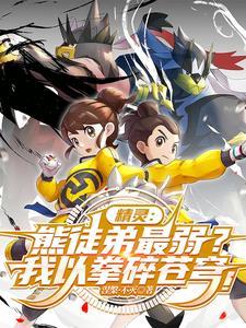 武道熊师傅