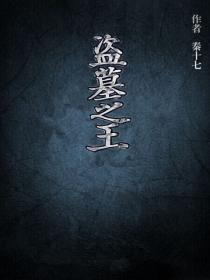 盗墓之王6辛柏青免费播放
