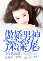 夜夜霸爱傲娇总裁深深宠
