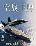 抗日之空战王牌