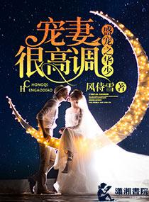 盛少宠妻100式全文免费阅读无弹窗