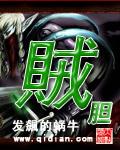 贼胆txt精校版