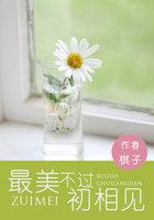 最美不过初相见剧情介绍
