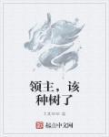 领主种田类的