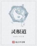 灵根道周元全文免费阅读