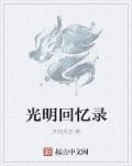 光明记忆后续章节