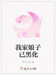 我家娘子已黑化了