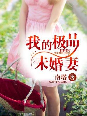 我的极品老婆完结了吗