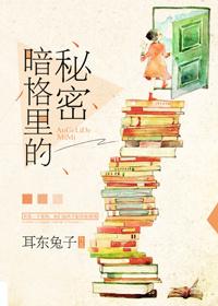 暗格里的秘密讲的什么