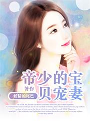 帝少宠宝贝妻全文阅读