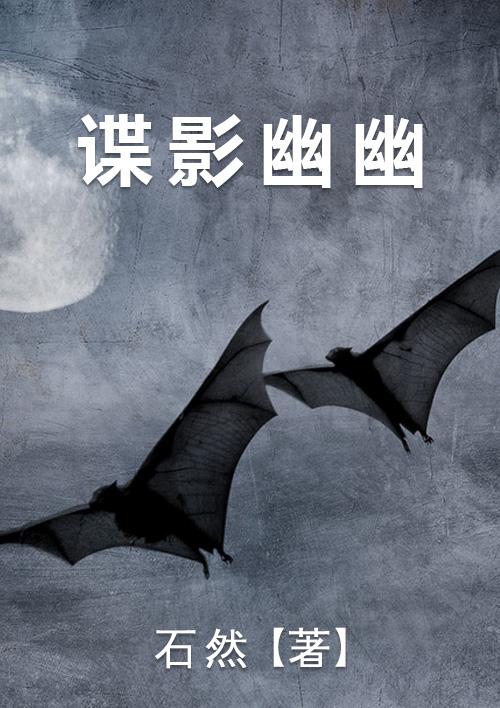 谍影测评