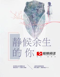 静候时光静候你