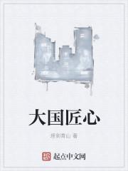 大国匠心 央视